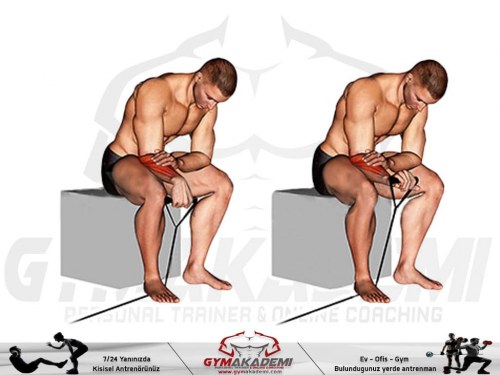 Band Reverse Wrist curl
