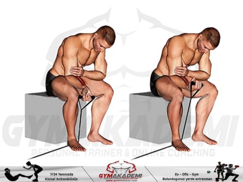 Band Wrist curl
